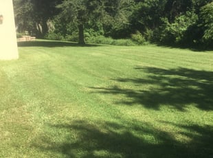 Jacksonville Beach Fl Lawn Care Service Lawn Mowing From 19 Rated Best 2020