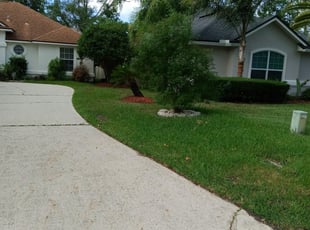 Jacksonville Beach Fl Lawn Care Service Lawn Mowing From 19 Rated Best 2020