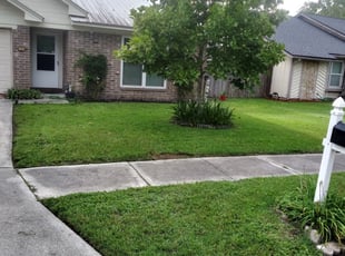 Jacksonville Fl Lawn Care Service Lawn Mowing From 19 Rated Best 2020