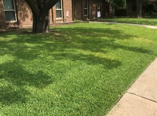 1 Jonesboro Ga Lawn Care Service Lawn Mowing From 19 Best 2020