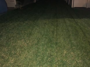 Jupiter Fl Lawn Care Service Lawn Mowing From 19 Rated Best 2020