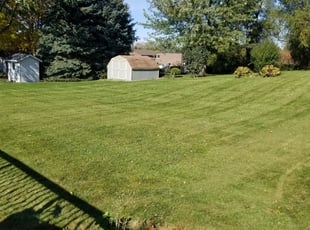 Kannapolis Nc Lawn Care Service Lawn Mowing From 19 Rated Best 2020