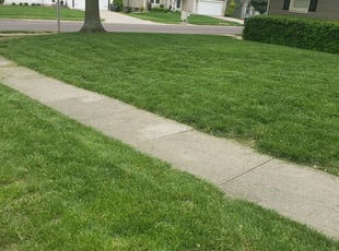 1 Kansas City Ks Lawn Care Service Lawn Mowing From 19 Best 2020