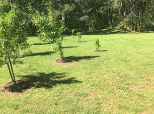 Keller Tx Lawn Care Service Lawn Mowing From 19 Rated Best 2020