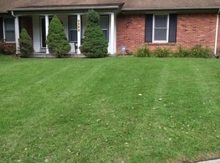 Keller Tx Lawn Care Service Lawn Mowing From 19 Rated Best 2020