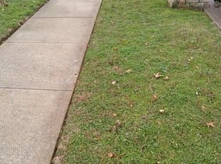 Kenner La Lawn Care Service Lawn Mowing From 19 Rated Best 2020