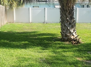 Kenner La Lawn Care Service Lawn Mowing From 19 Rated Best 2020