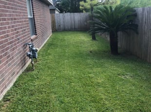 Kent Wa Lawn Care Service Lawn Mowing From 19 Rated Best 2020