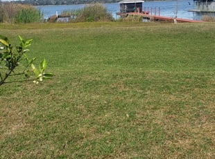 Professional Lawn Care Services And Landscape Maintenance Packages Apol S Landscape Maintenance Woodinville Washington