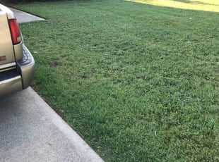 Kershaw Sc Lawn Care Service Lawn Mowing From 19 Rated Best 2020