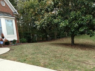 1 Kingston Springs Tn Lawn Care Service Lawn Mowing From 19 Best 2020