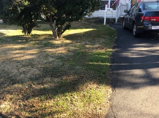 1 Kingwood Tx Lawn Care Service Lawn Mowing From 19 Best 2020