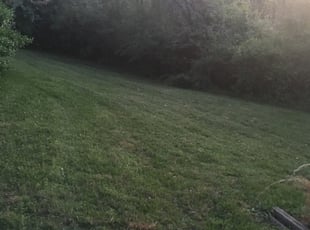 Knoxville, TN Lawn Care Service | Lawn Mowing from $19 ...
