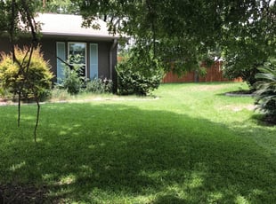 Knoxville Tn Lawn Care Service Lawn Mowing From 19 Rated Best 2020