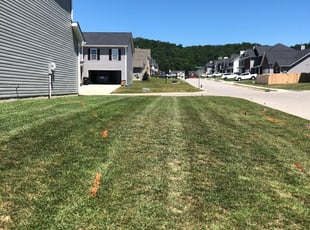 Knoxville Tn Lawn Care Service Lawn Mowing From 19 Rated Best 2020