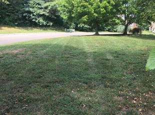 Knoxville Tn Lawn Care Service Lawn Mowing From 19 Rated Best 2020