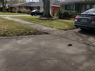 1 Kyle Tx Lawn Care Service Lawn Mowing From 19 Best 2020