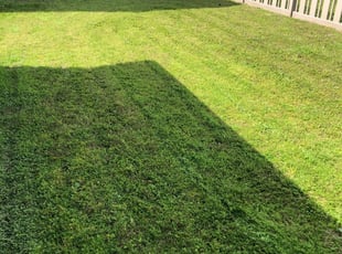 1 Kyle Tx Lawn Care Service Lawn Mowing From 19 Best 2020