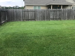 1 Kyle Tx Lawn Care Service Lawn Mowing From 19 Best 2020
