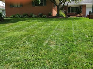 La Follette Tn Lawn Care Service Lawn Mowing From 19 Rated Best 2020