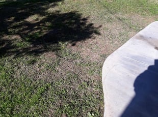 6 Best Lawn Care Services in La Marque, TX 2020 | LawnStarter