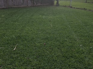 1 La Porte Tx Lawn Care Service Lawn Mowing From 19 Best 2020