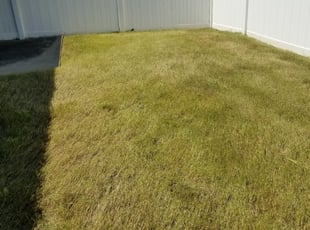 Lady Lake Fl Lawn Care Service Lawn Mowing From 19 Rated Best 2020