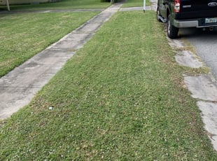 Lady Lake Fl Lawn Care Service Lawn Mowing From 19 Rated Best 2020