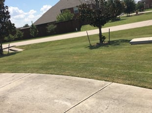 Lady Lake Fl Lawn Care Service Lawn Mowing From 19 Rated Best 2020