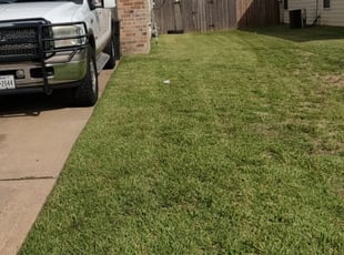 1 Lafayette La Lawn Care Service Lawn Mowing From 19 Best 2020