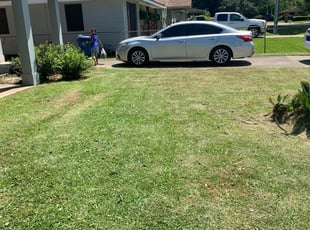 1 Lafayette La Lawn Care Service Lawn Mowing From 19 Best 2020