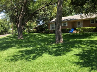 1 Lafayette Tn Lawn Care Service Lawn Mowing From 19 Best 2020
