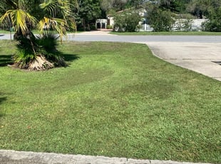 1 Lafayette Tn Lawn Care Service Lawn Mowing From 19 Best 2020