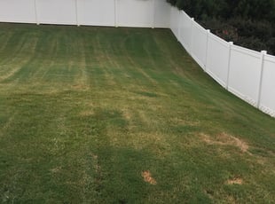 Lagrange Oh Lawn Care Service Lawn Mowing From 19 Rated Best 2020
