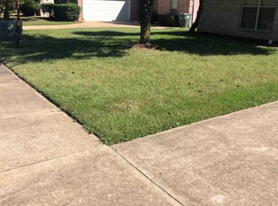 Lake Jackson Tx Lawn Care Service Lawn Mowing From 19 Rated Best 2020