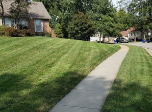 Lake Jackson Tx Lawn Care Service Lawn Mowing From 19 Rated Best 2020