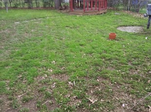 Lake Jackson Tx Lawn Care Service Lawn Mowing From 19 Rated Best 2020