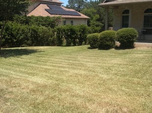 Lake Jackson Tx Lawn Care Service Lawn Mowing From 19 Rated Best 2020
