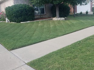 Lake Mary Fl Lawn Care Service Lawn Mowing From 19 Rated Best 2020