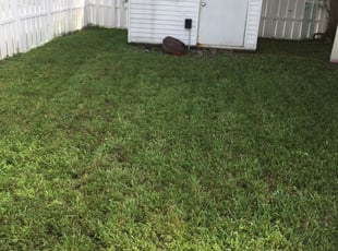 1 Lake Saint Louis Mo Lawn Care Service Lawn Mowing From 19 Best 2020