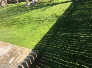 Lake Villa Il Lawn Care Service Lawn Mowing From 19 Rated Best 2020