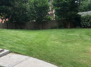 1 Lakeland Fl Lawn Care Service Lawn Mowing From 19 Best 2020