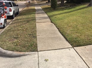 Lakewood Wa Lawn Care Service Lawn Mowing From 19 Rated Best 2020