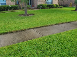 Lancaster Pa Lawn Care Service Lawn Mowing From 19 Lawnstarter