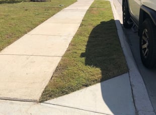 Lancaster Sc Lawn Care Service Lawn Mowing From 19 Rated Best 2020