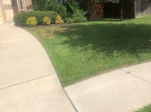 Lancaster Sc Lawn Care Service Lawn Mowing From 19 Rated Best 2020