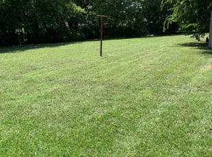 1 Lancaster Tx Lawn Care Service Lawn Mowing From 19 Best 2020