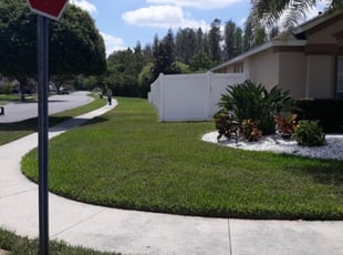 Land O Lakes Fl Lawn Care Service Lawn Mowing From 19 Lawnstarter