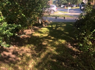 Lansdale Pa Lawn Care Service Lawn Mowing From 19 Rated Best 2020