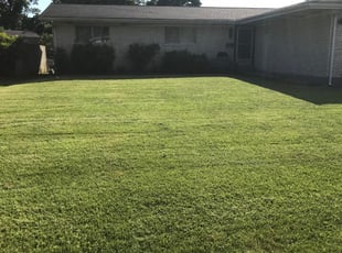 1 Lapeer Mi Lawn Care Service Lawn Mowing From 19 Best 2020